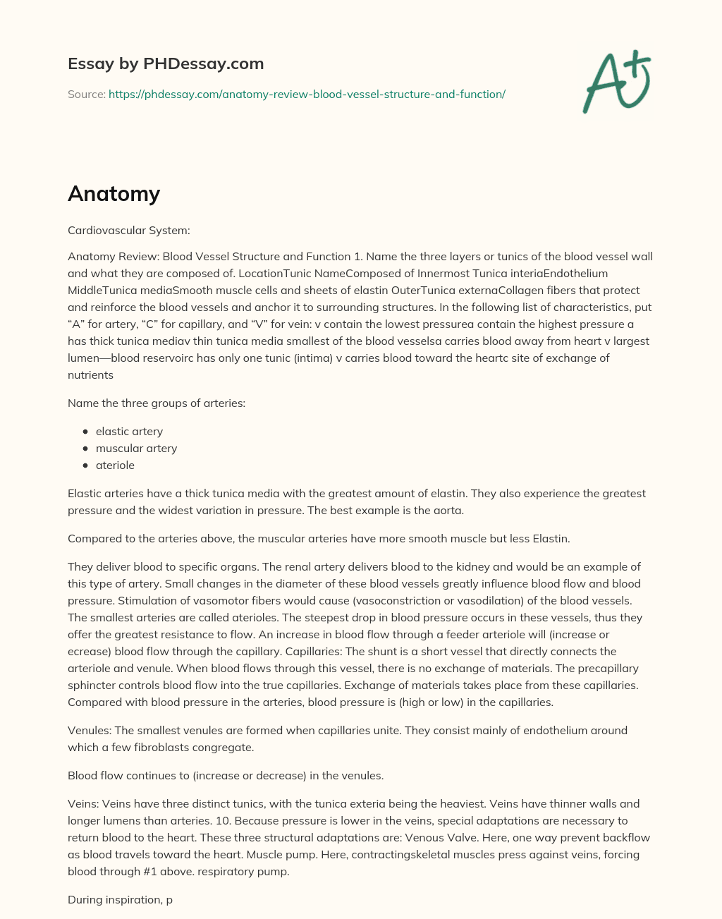 Anatomy Review: Blood Vessel Structure and Function essay