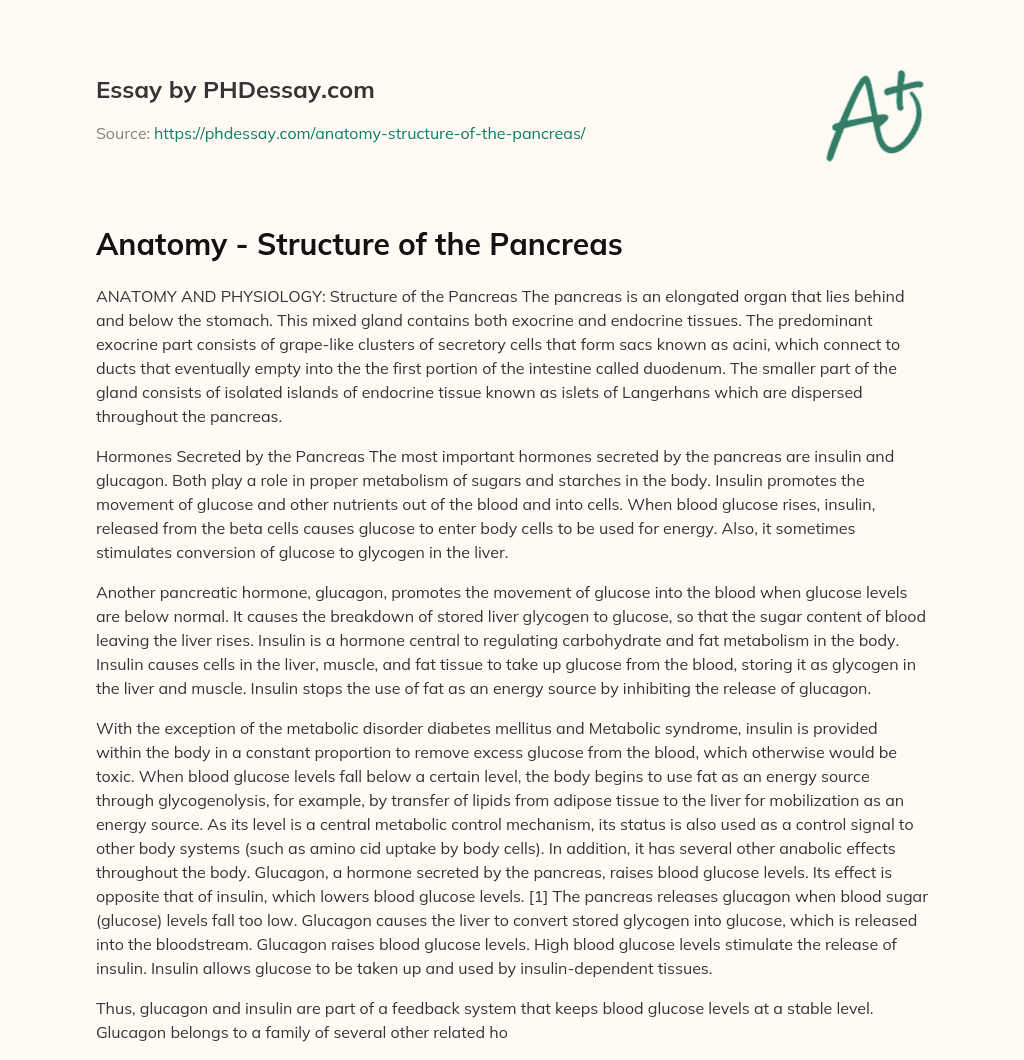 Anatomy – Structure of the Pancreas essay