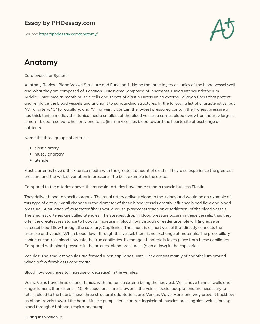 anatomy - Free Essays - PhDessay.com