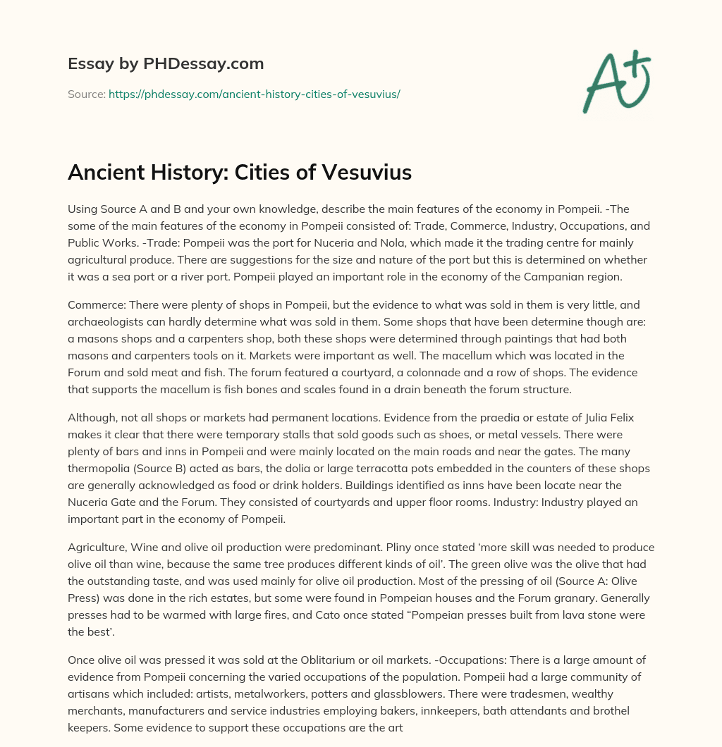 Ancient History: Cities of Vesuvius essay