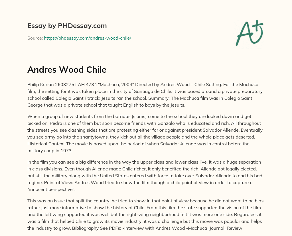 Andres Wood Chile essay
