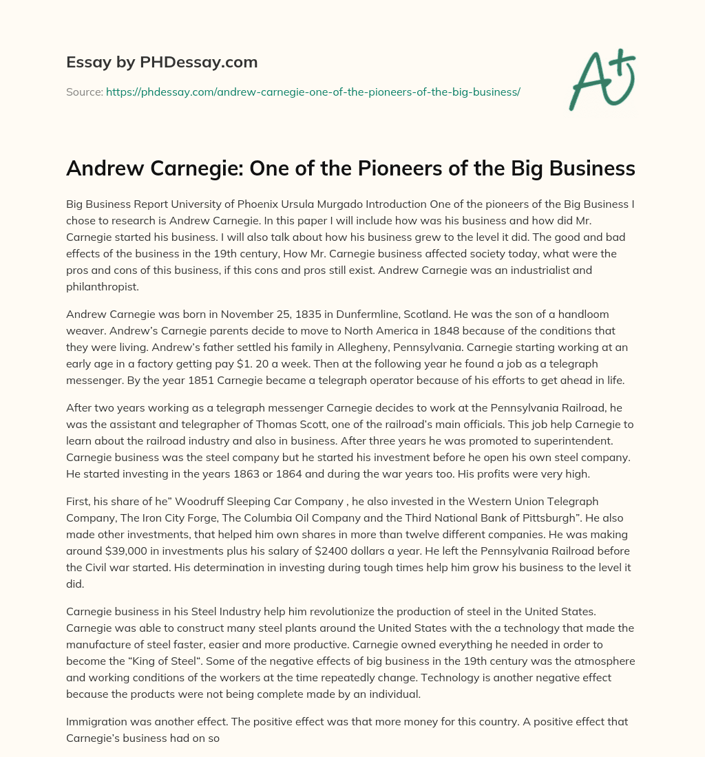 Andrew Carnegie: One of the Pioneers of the Big Business essay
