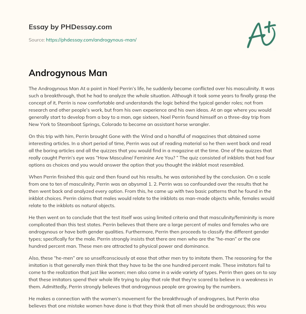 Androgynous Man essay
