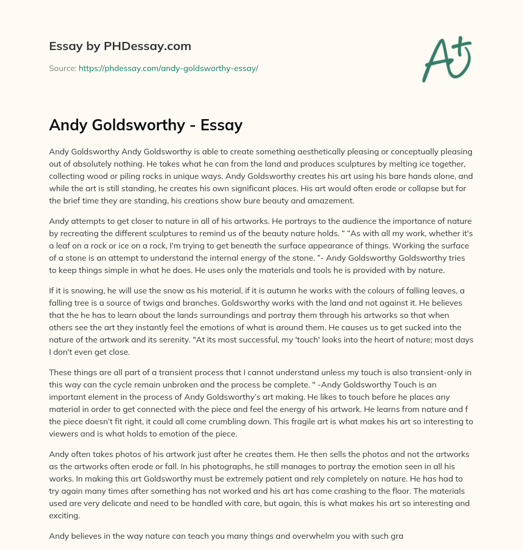 Andy Goldsworthy – Essay essay