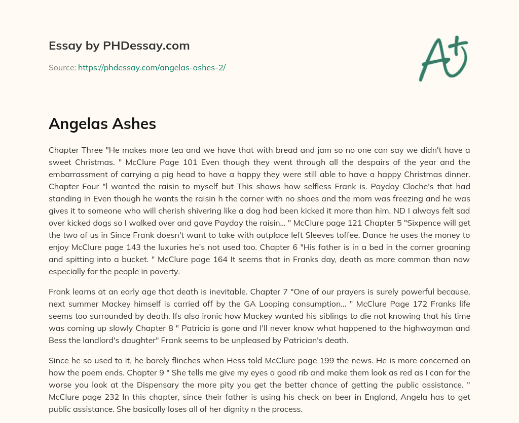 Angelas Ashes essay