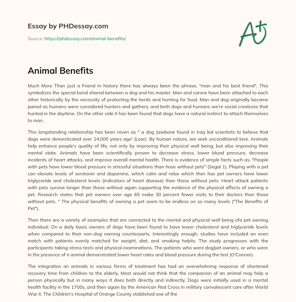 Animal Benefits essay