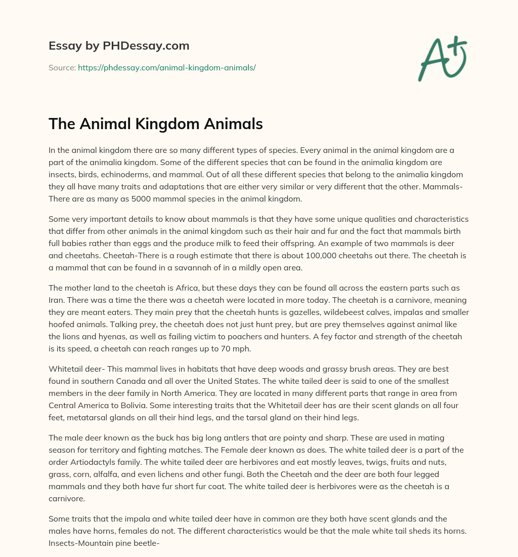 The Animal Kingdom Animals essay