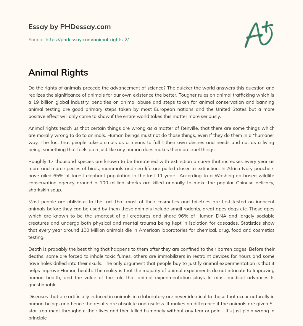 Animal Rights essay
