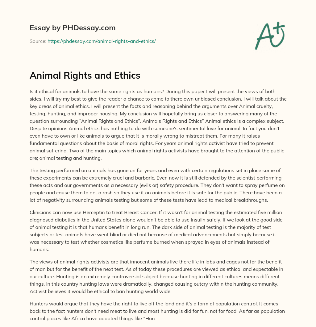 animal rights ethics essay