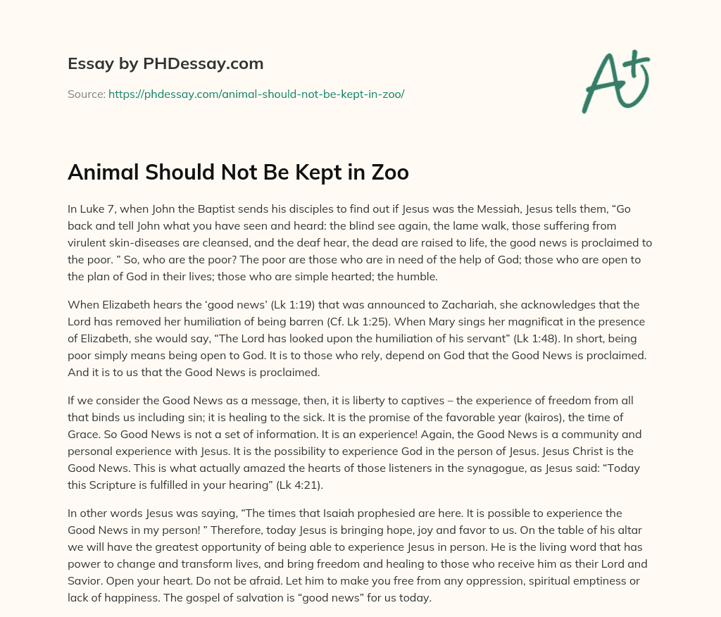 Animal Should Not Be Kept in Zoo essay