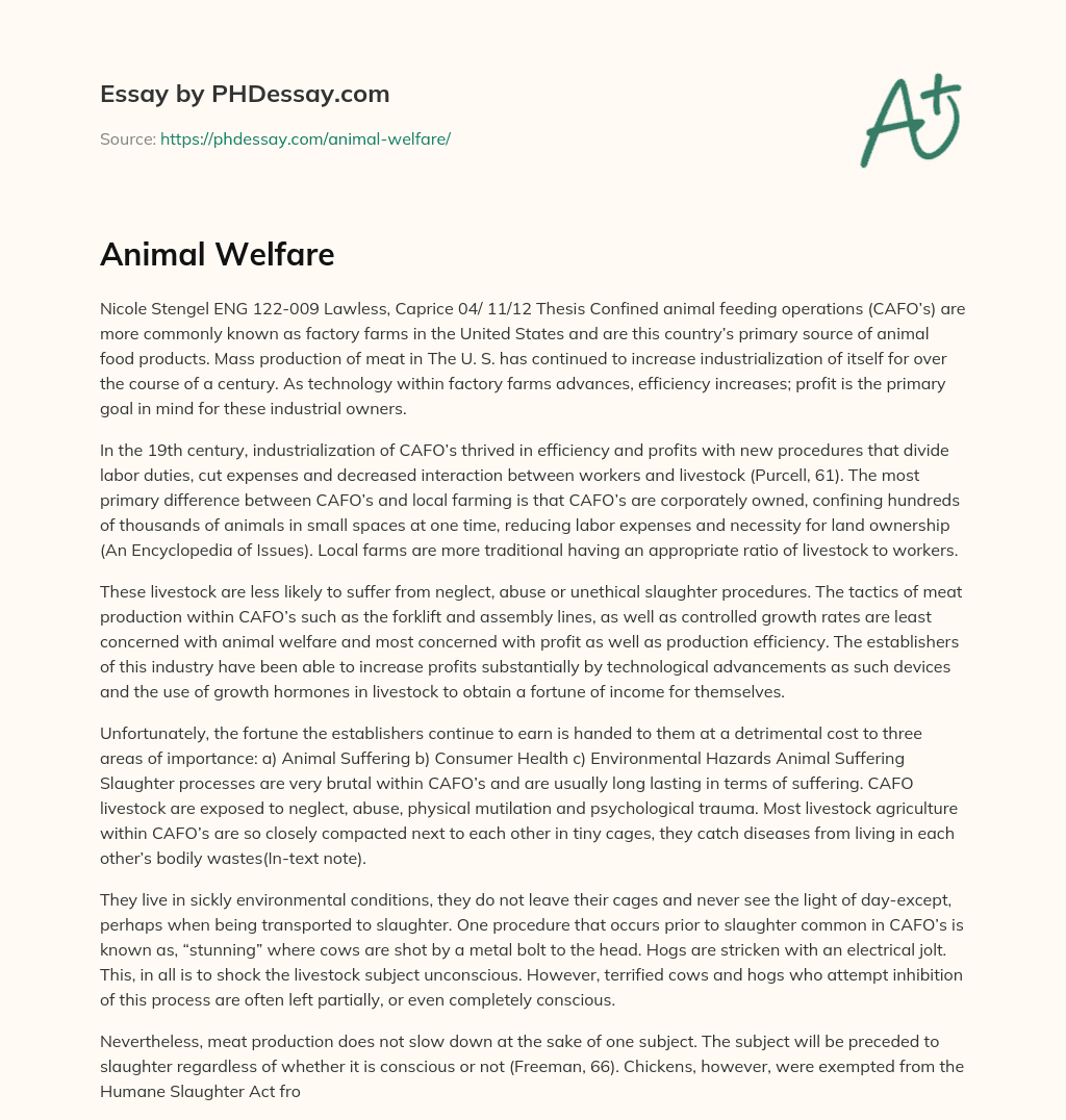 Animal Welfare essay
