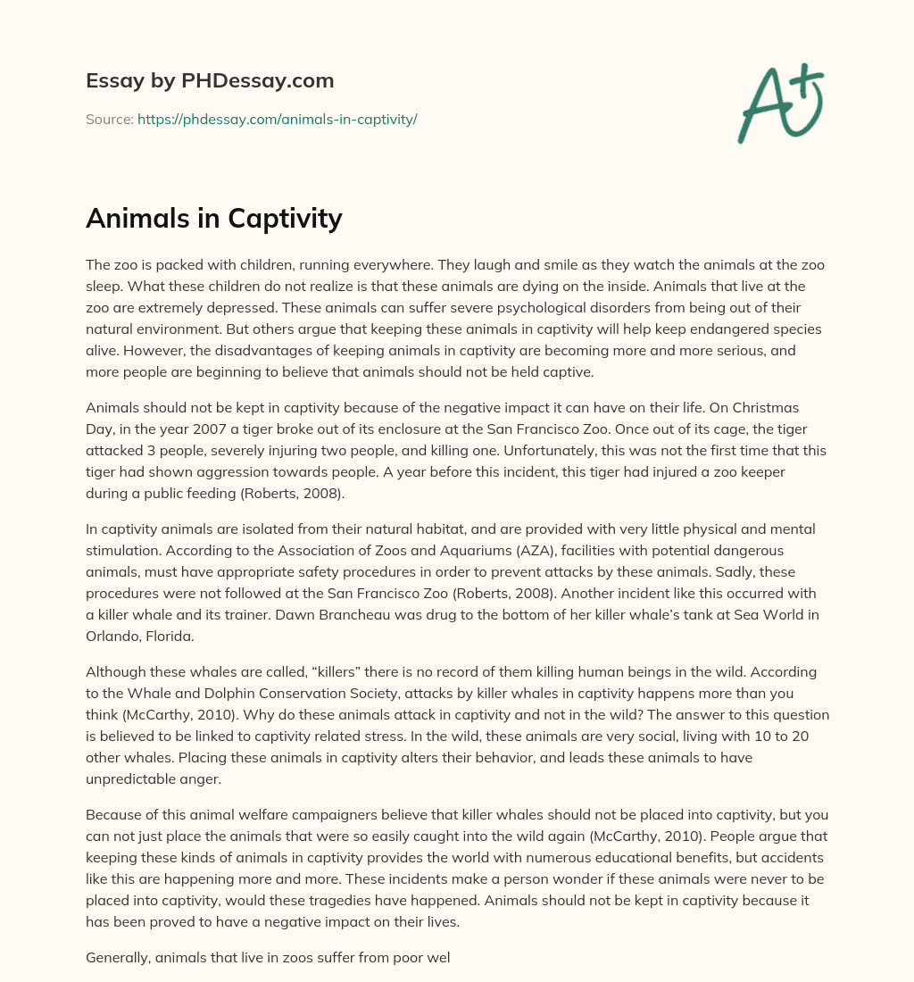 Animals in Captivity essay