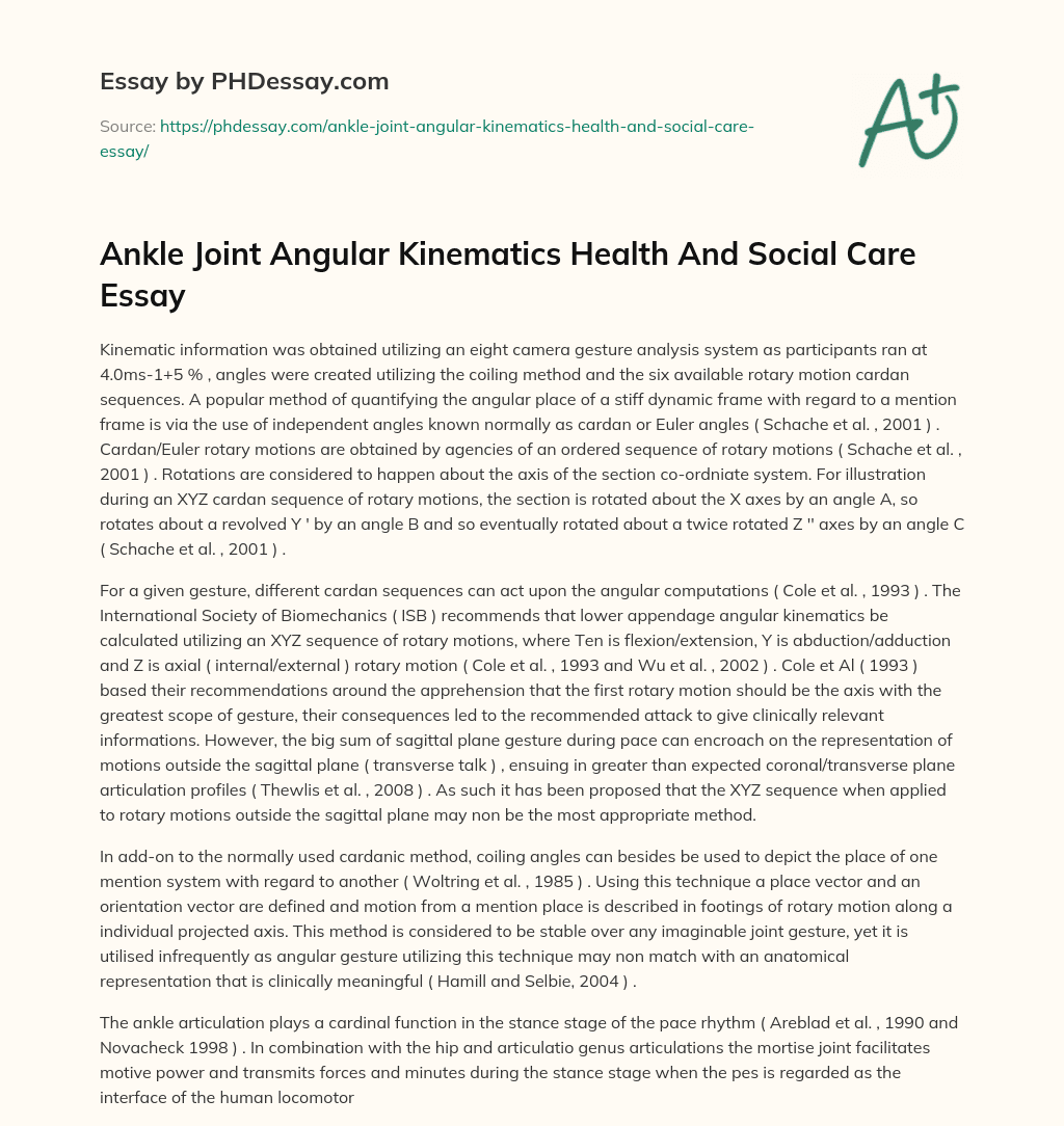 Ankle Joint Angular Kinematics Health And Social Care Essay essay