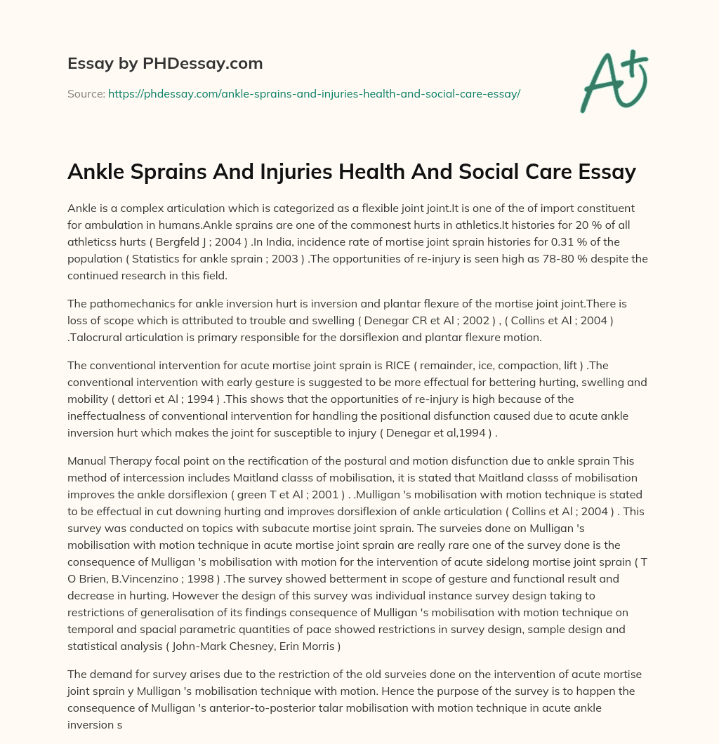 Ankle Sprains And Injuries Health And Social Care Essay essay