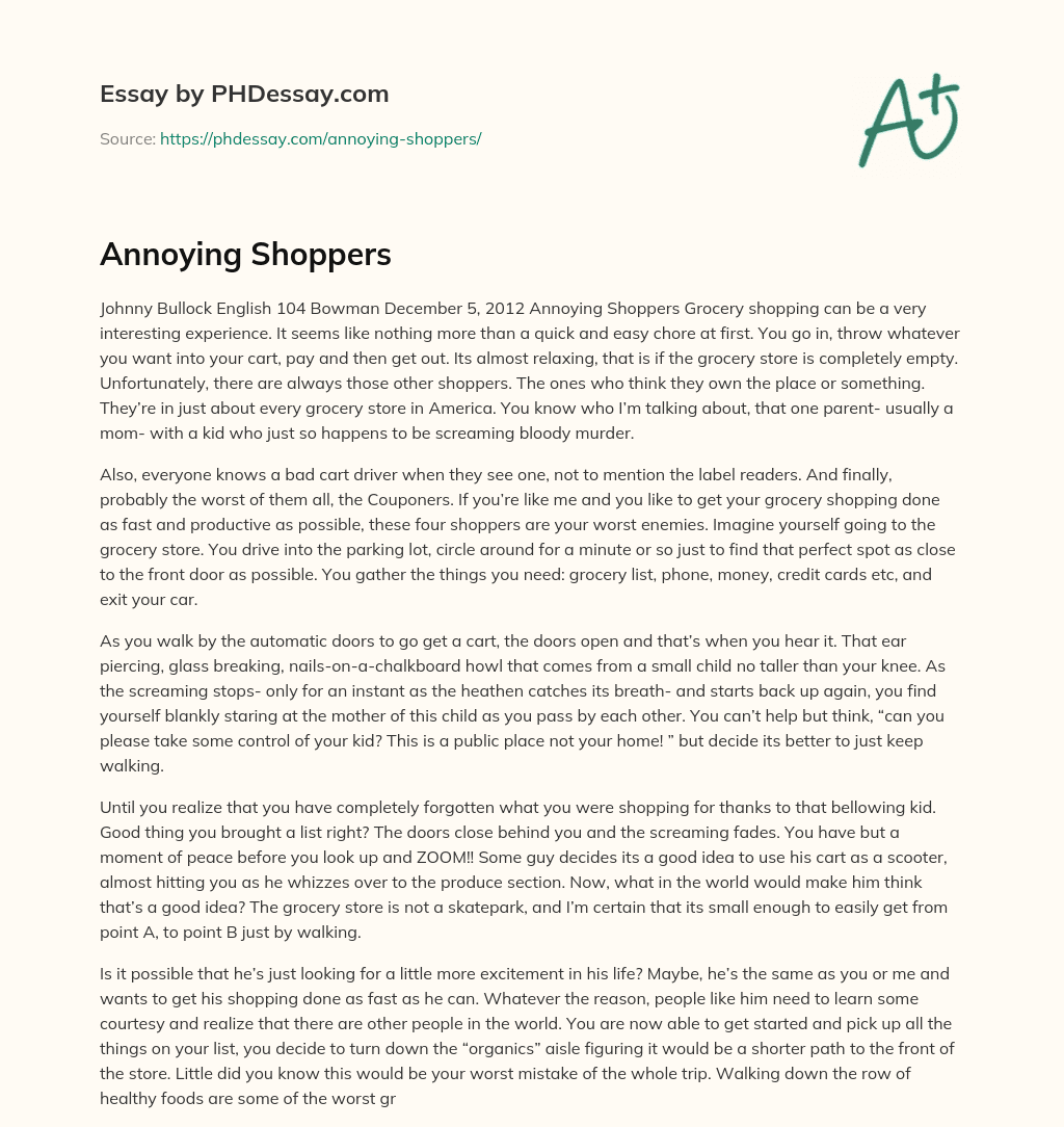Annoying Shoppers essay
