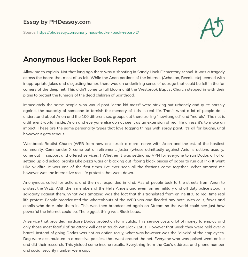 Anonymous Hacker Book Report essay