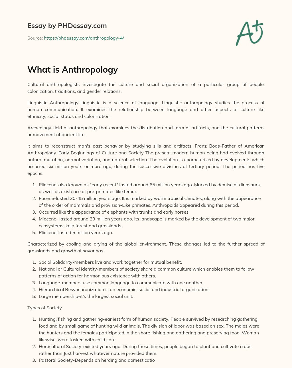 What is Anthropology essay