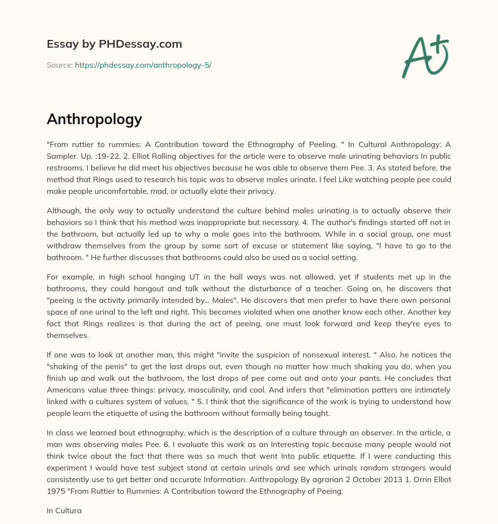 Observing Male Urinating Behaviors in Public Restrooms: A Contribution to Ethnography of Peeling essay