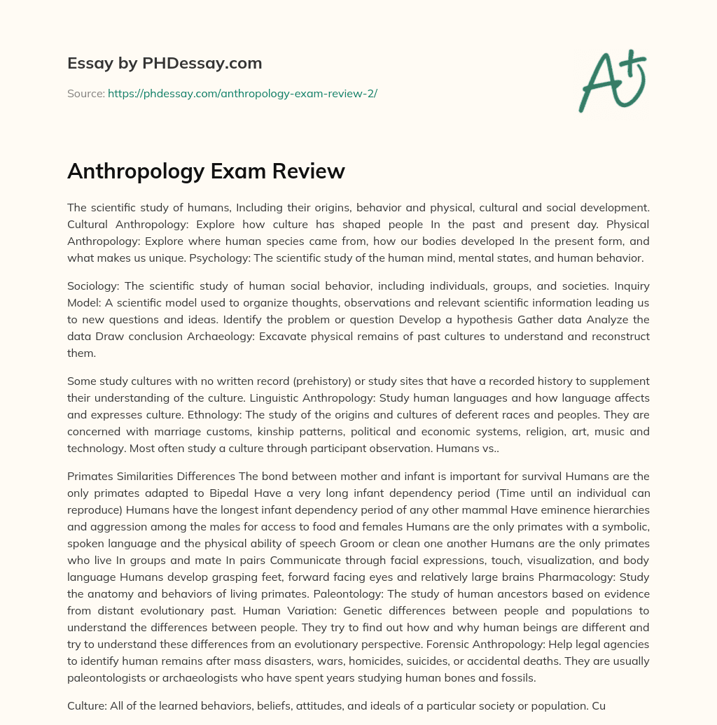Anthropology Exam Review essay