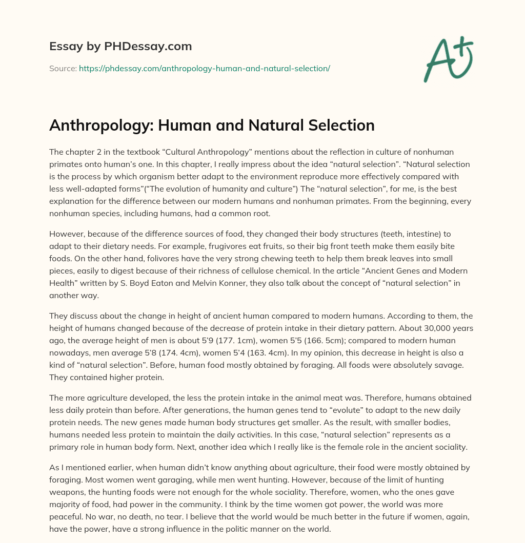 Anthropology: Human and Natural Selection essay