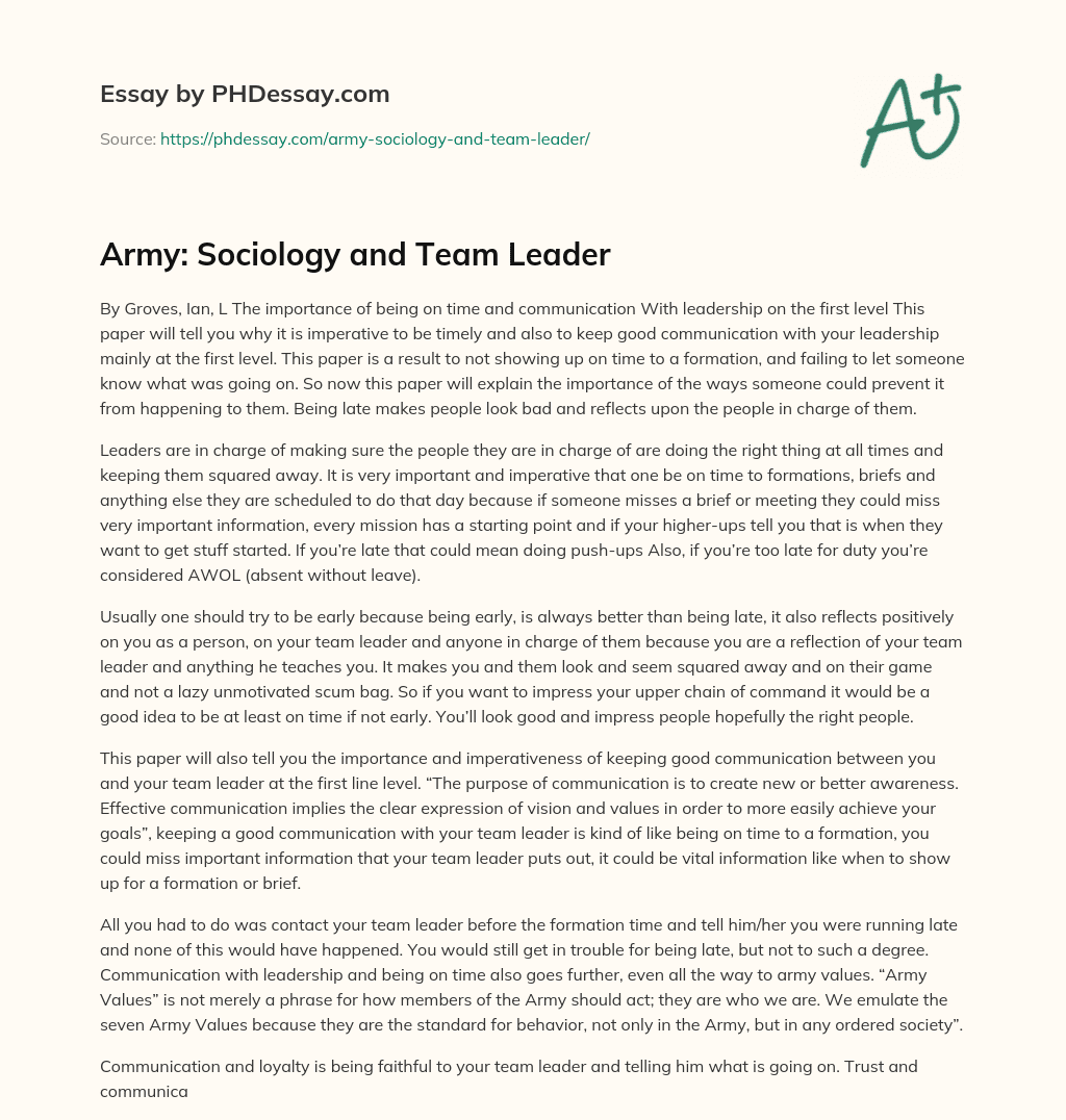 Army: Sociology and Team Leader essay