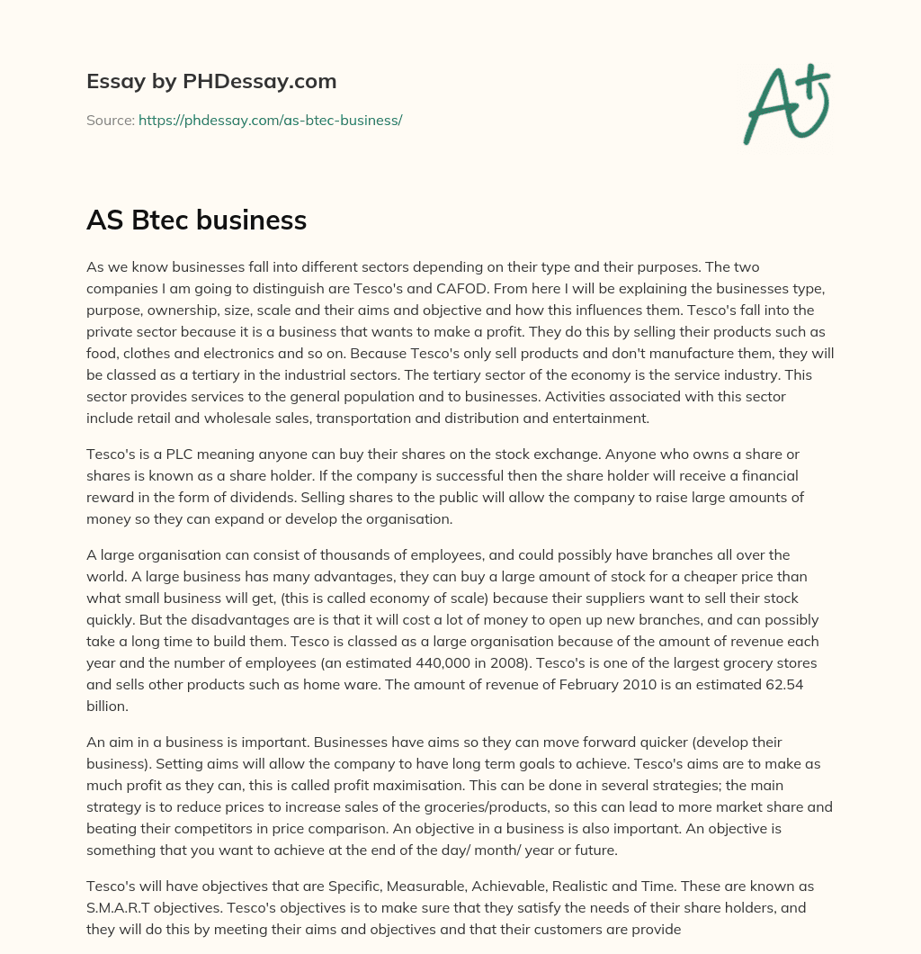 AS Btec business essay