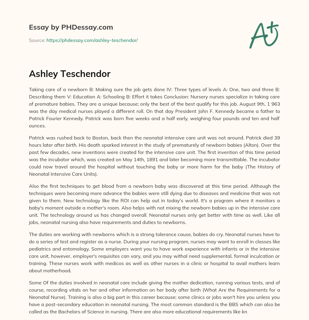 Ashley Teschendor essay