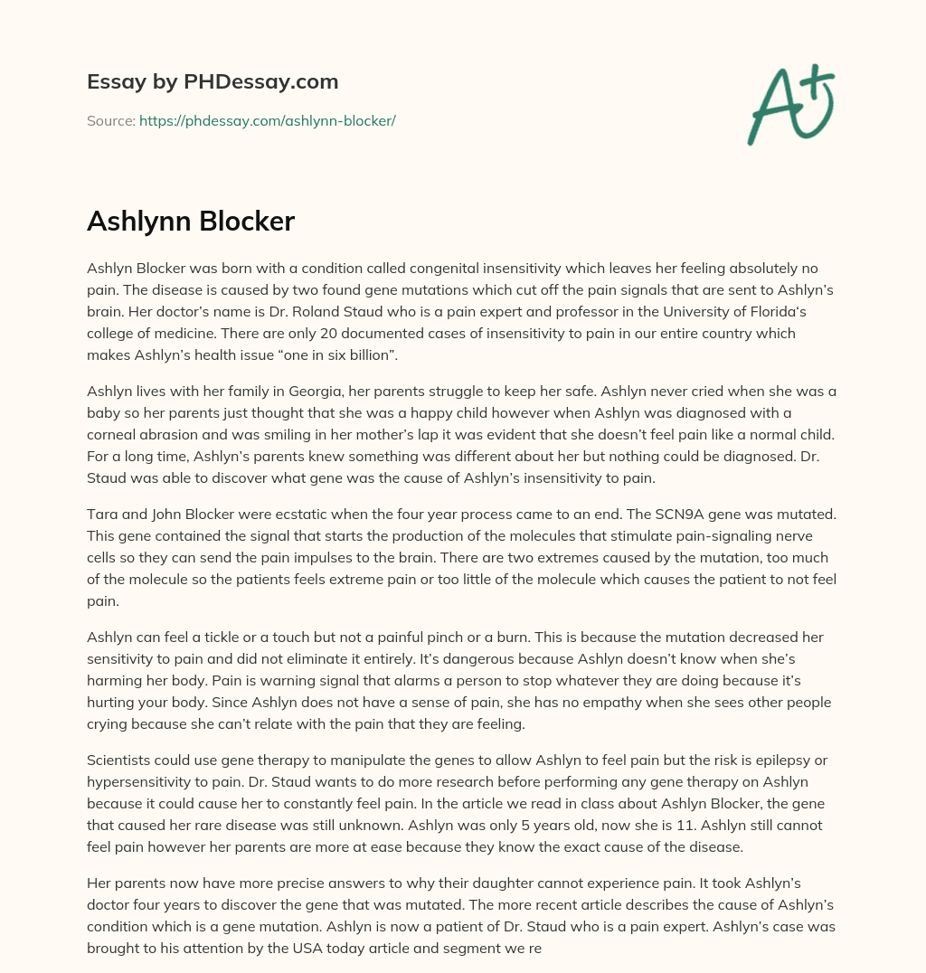 Ashlynn Blocker essay