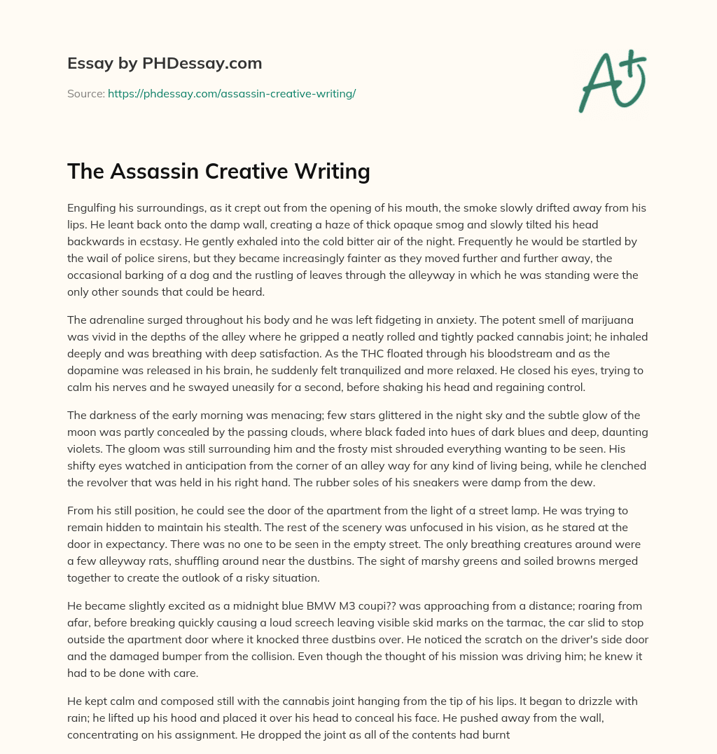 The Assassin Creative Writing essay