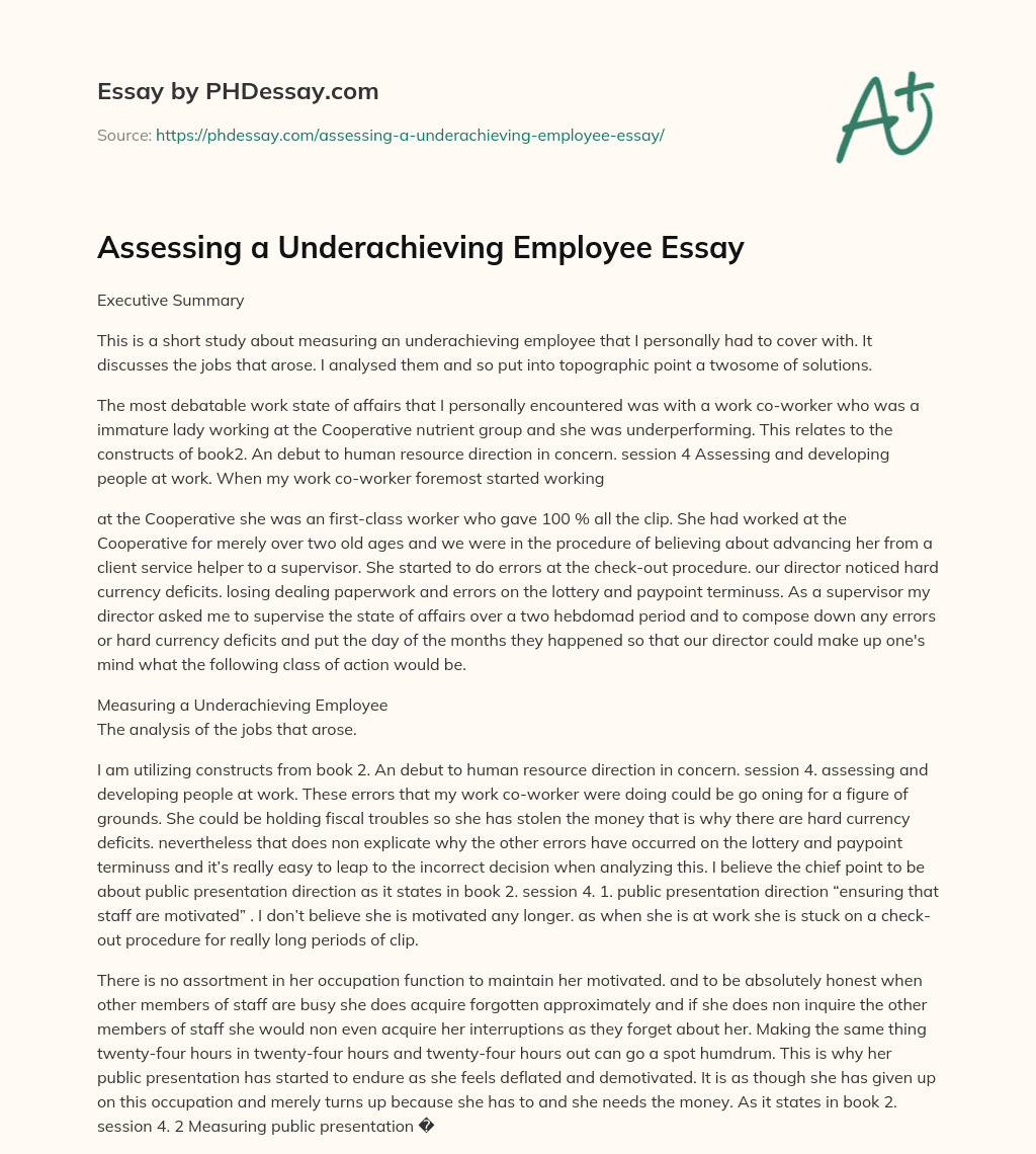Assessing a Underachieving Employee Essay essay