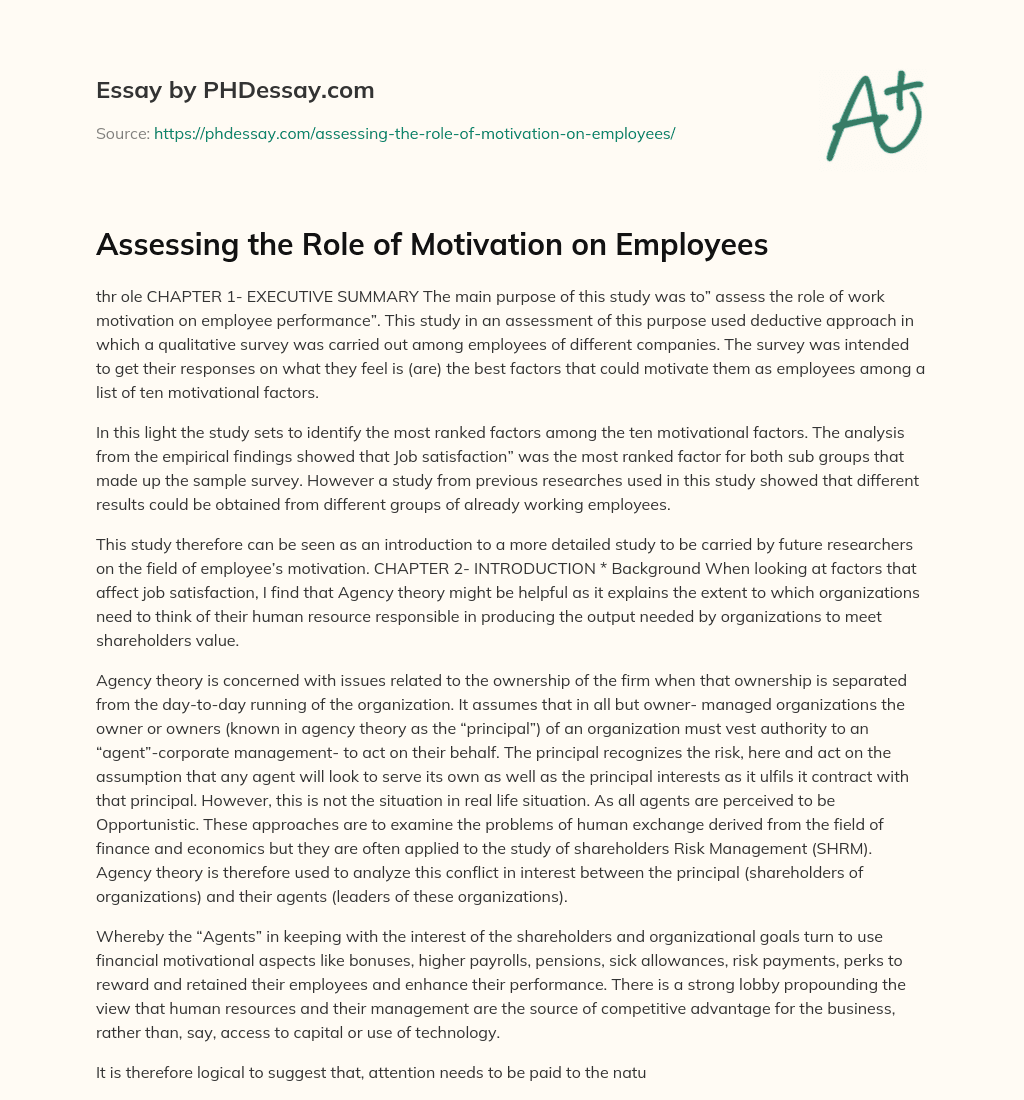 Assessing the Role of Motivation on Employees essay