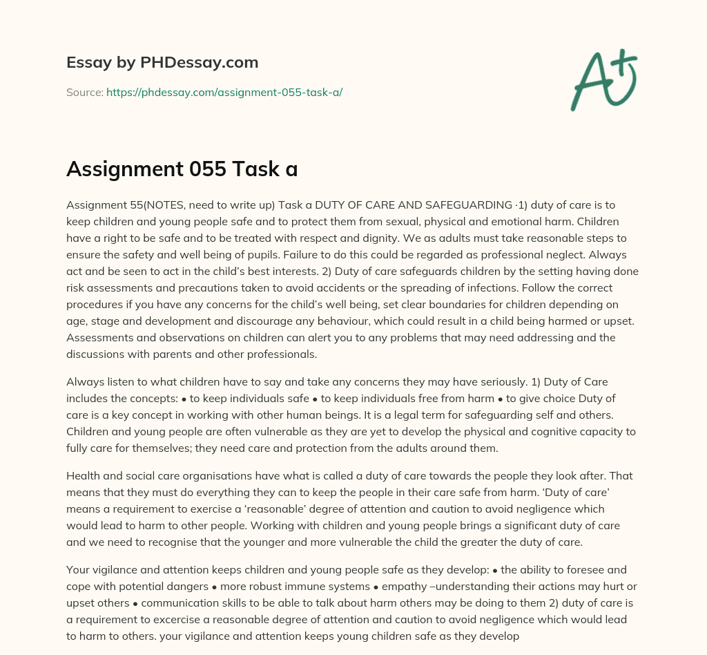 The Importance of Duty of Care and Safeguarding for Children and Young People essay