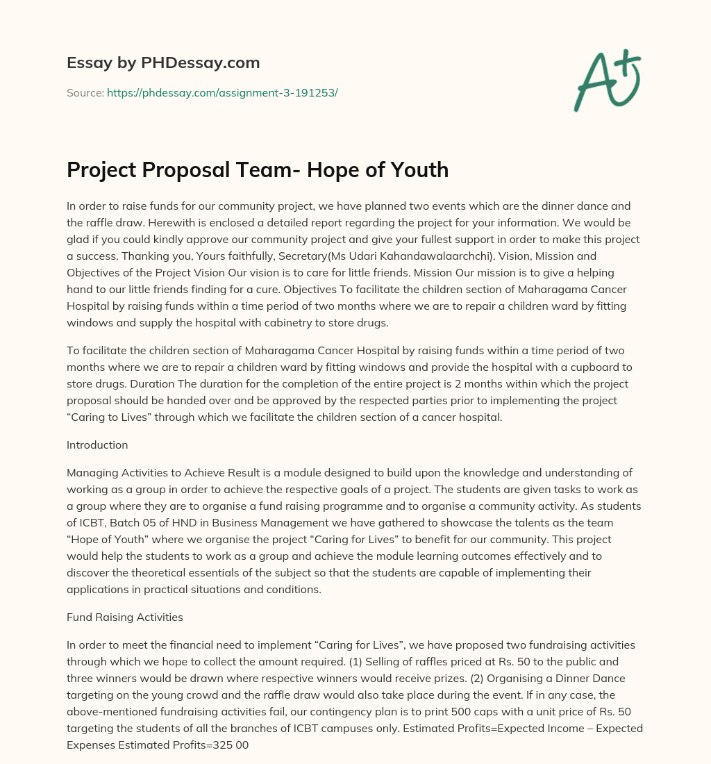 Project Proposal Team- Hope of Youth essay
