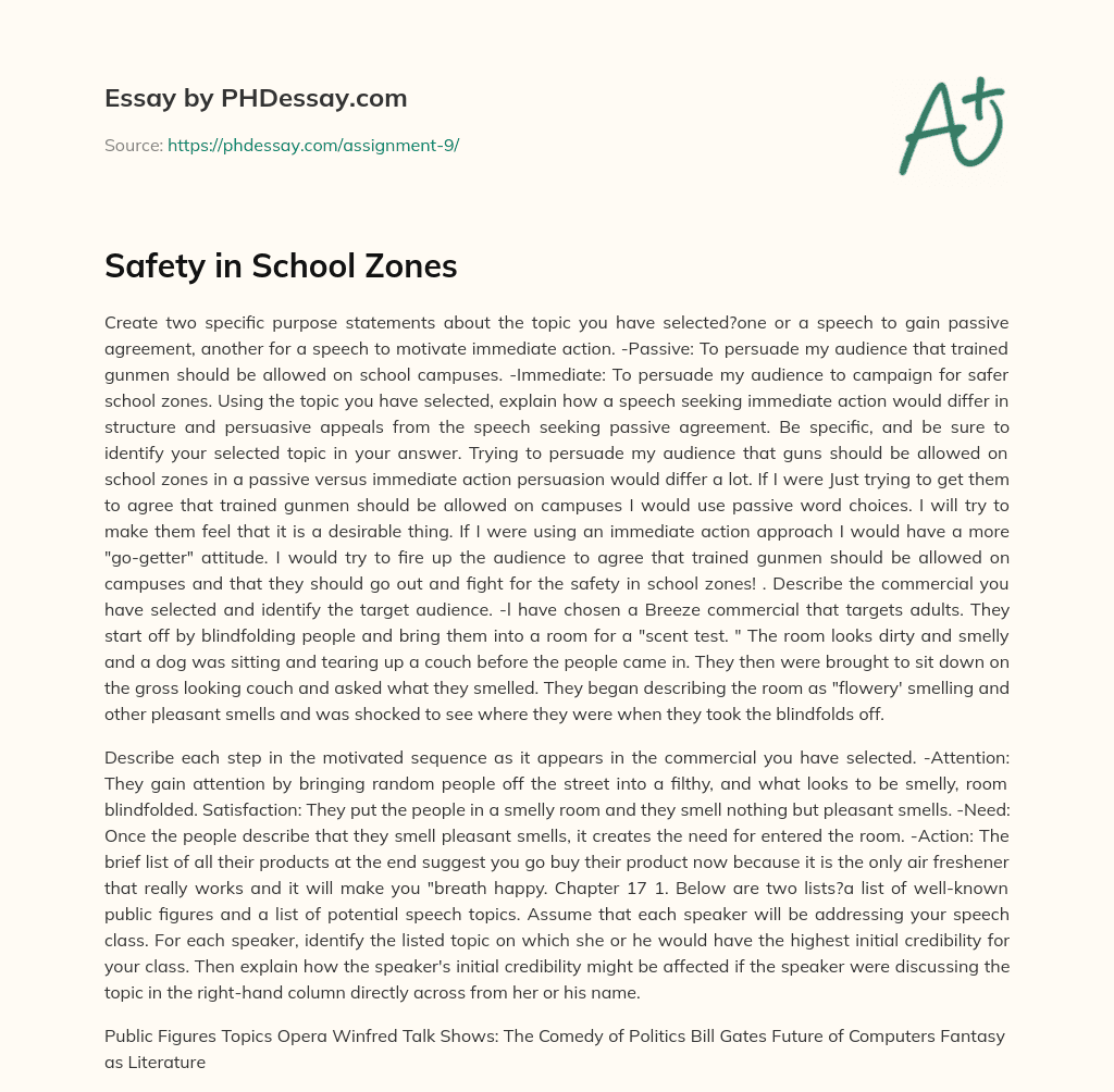 Safety in School Zones essay