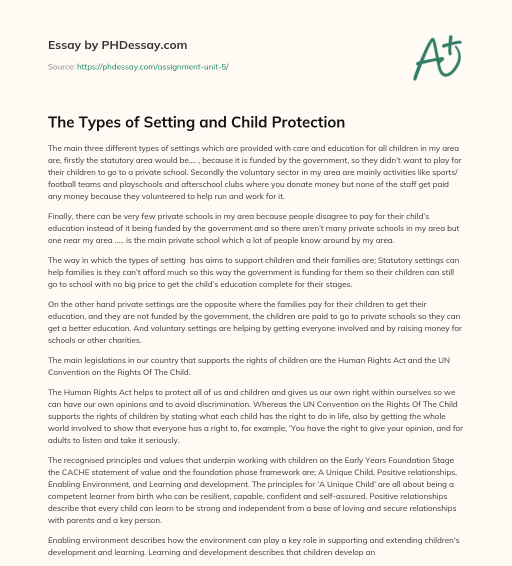 The Types of Setting and Child Protection essay