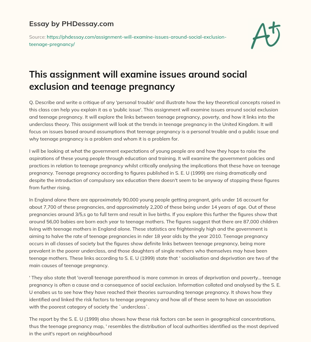 Teenage Pregnancy as a Public Issue: Analyzing the Links between Poverty, Social Exclusion, and Government Policies essay