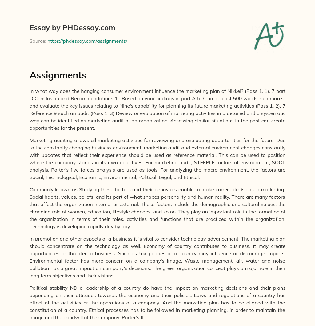 Marketing Audit and its Importance for Future Planning of Nikkei essay