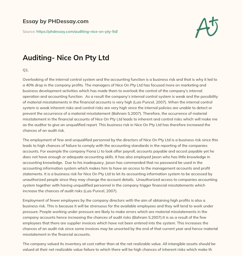 Auditing- Nice On Pty Ltd essay