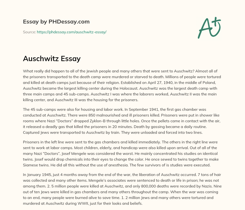 Auschwitz Essay essay