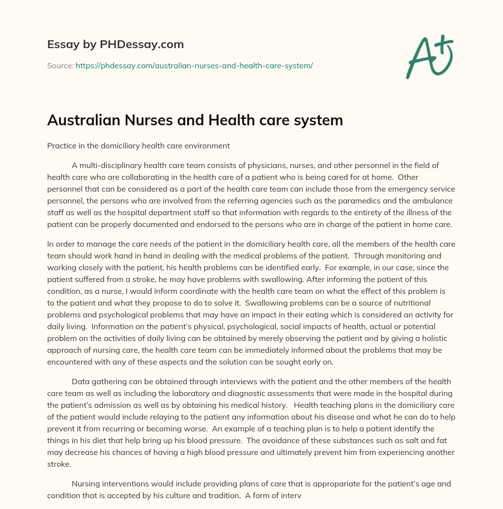 Australian Nurses and Health care system essay