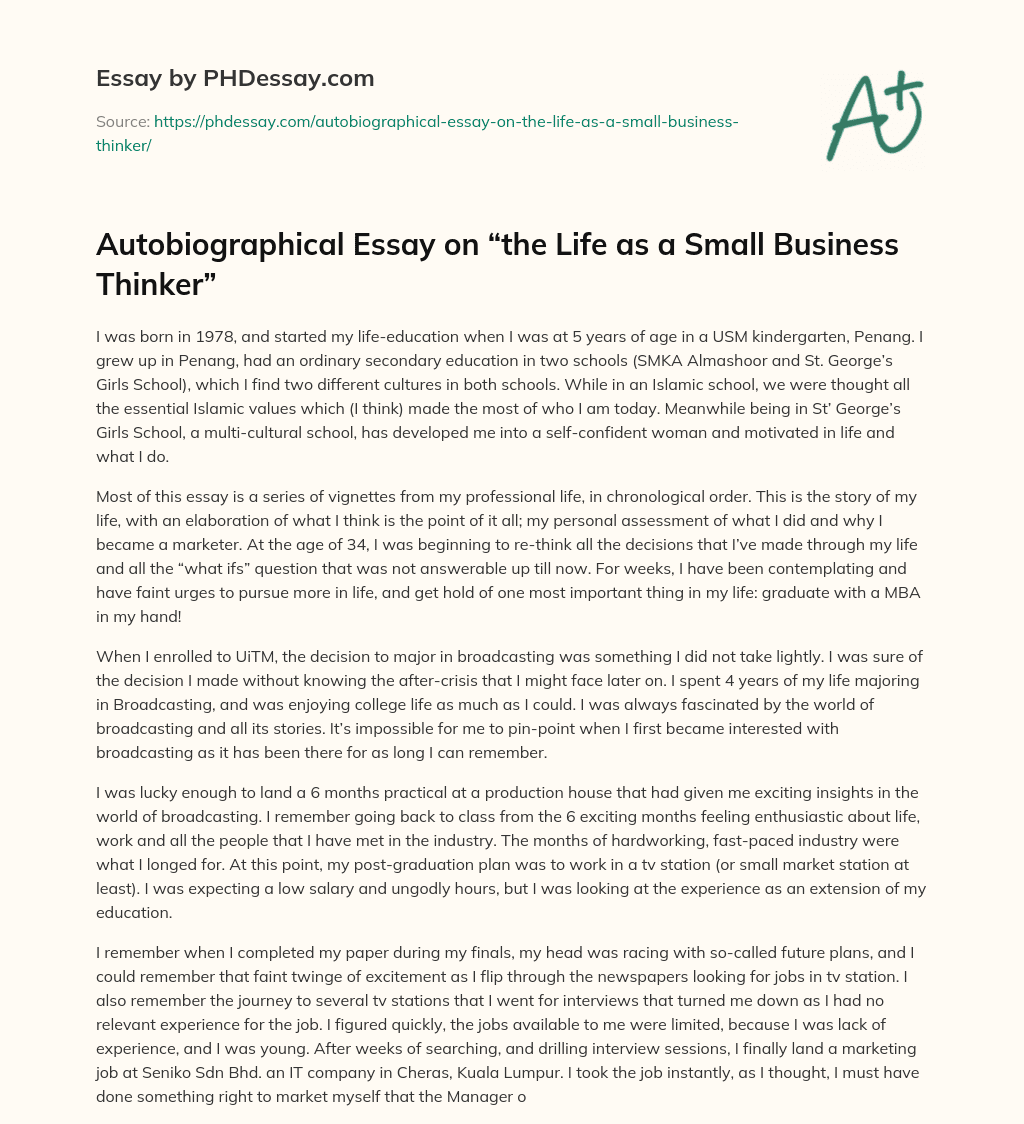 Autobiographical Essay on “the Life as a Small Business Thinker” essay