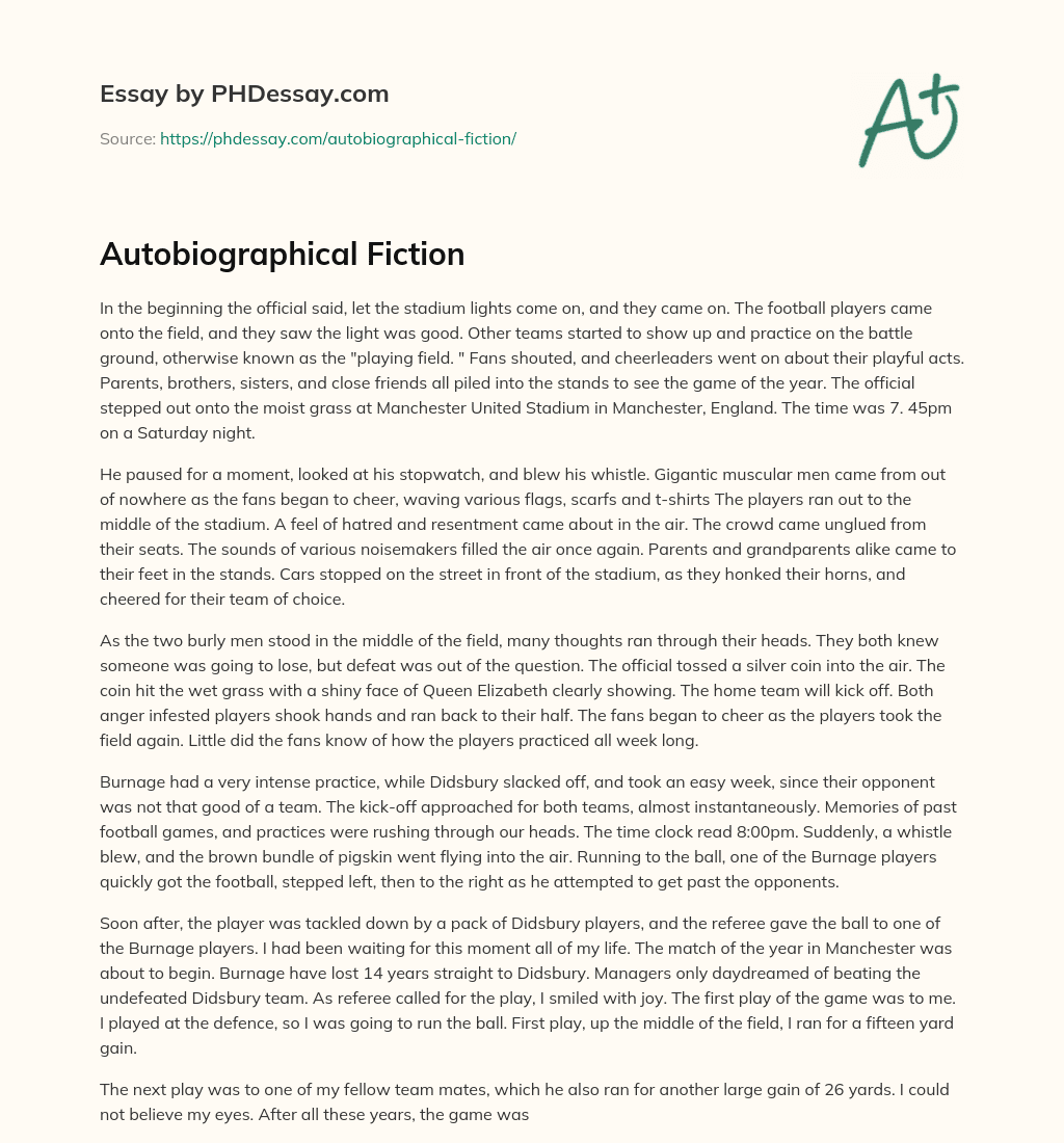 Autobiographical Fiction essay