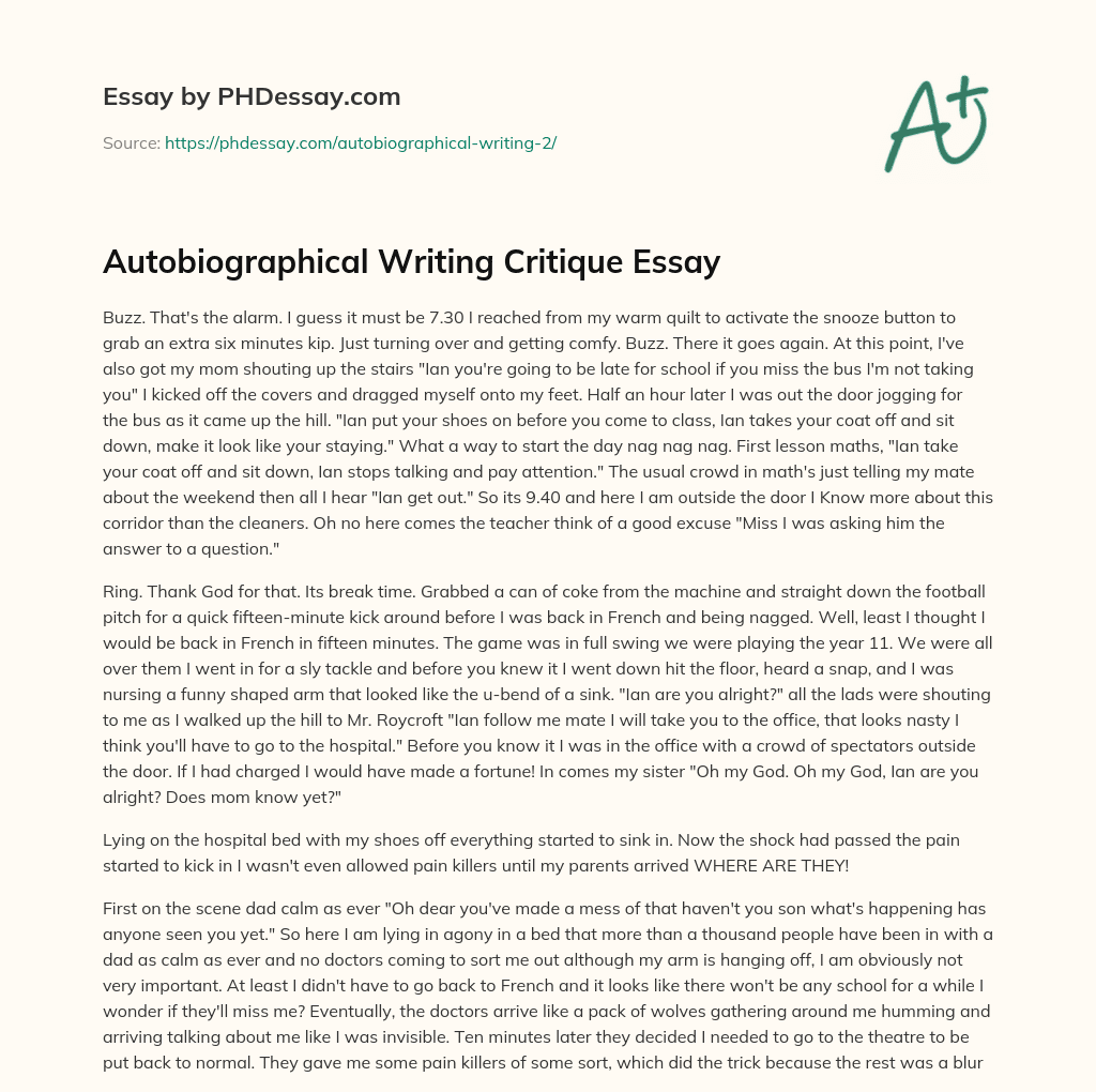 Autobiographical Writing Critique Essay essay