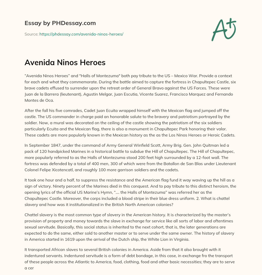 Avenida Ninos Heroes essay