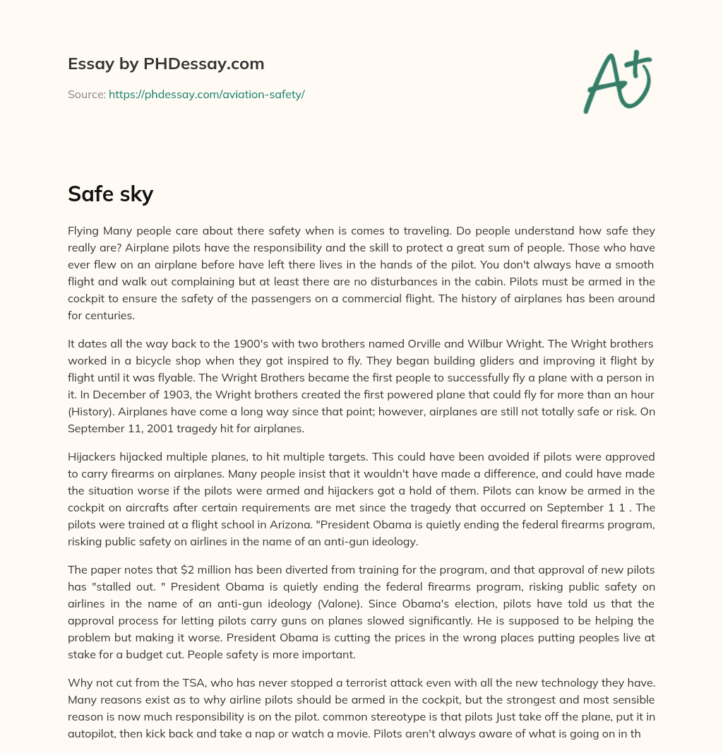 The Safety of Flying: From the Responsibility of Pilots to the History of Airplanes essay