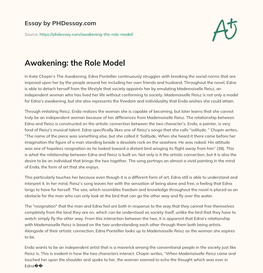 Awakening: the Role Model essay
