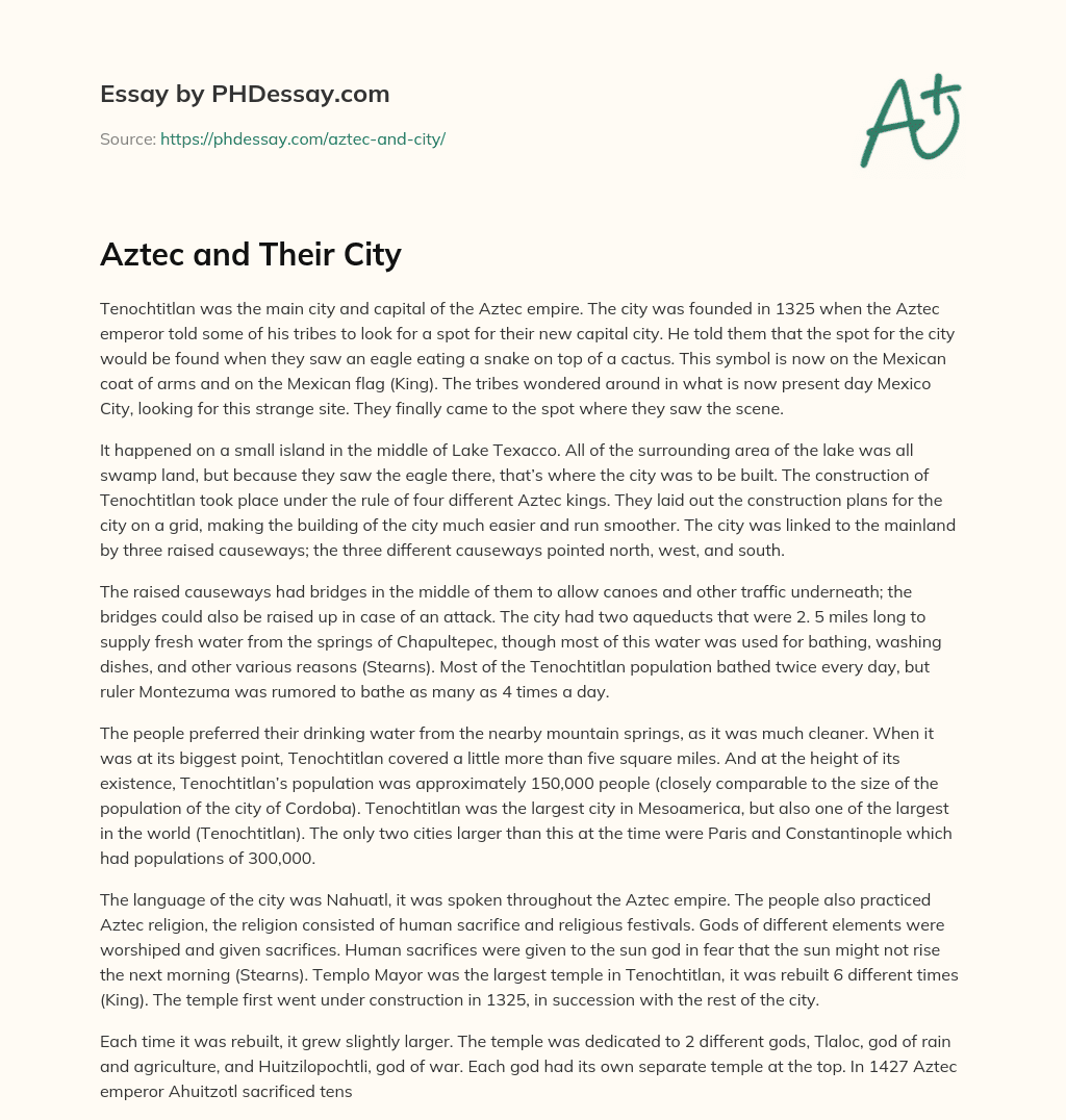 Aztec and Their City essay