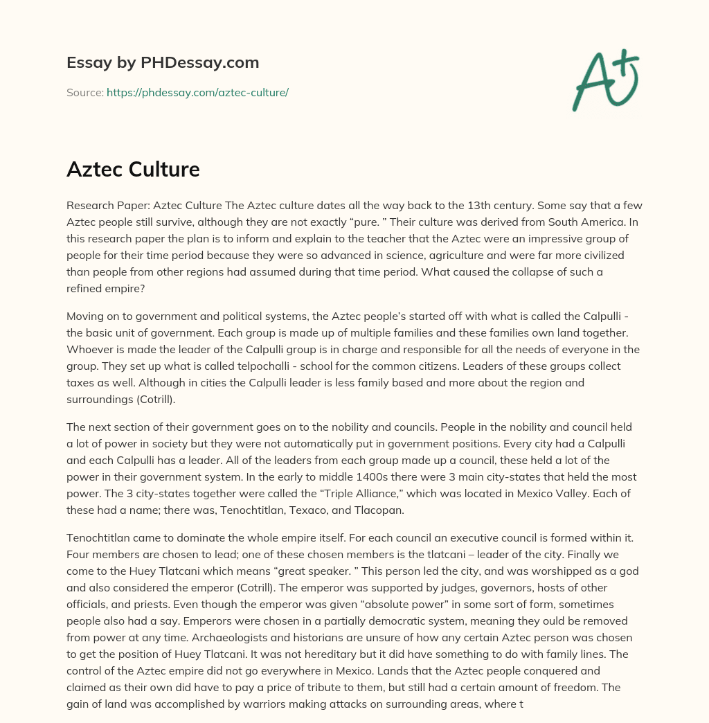 Aztec Culture essay