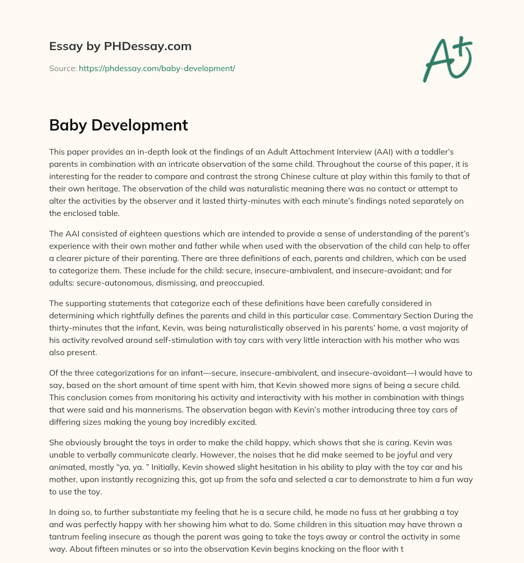 Baby Development essay