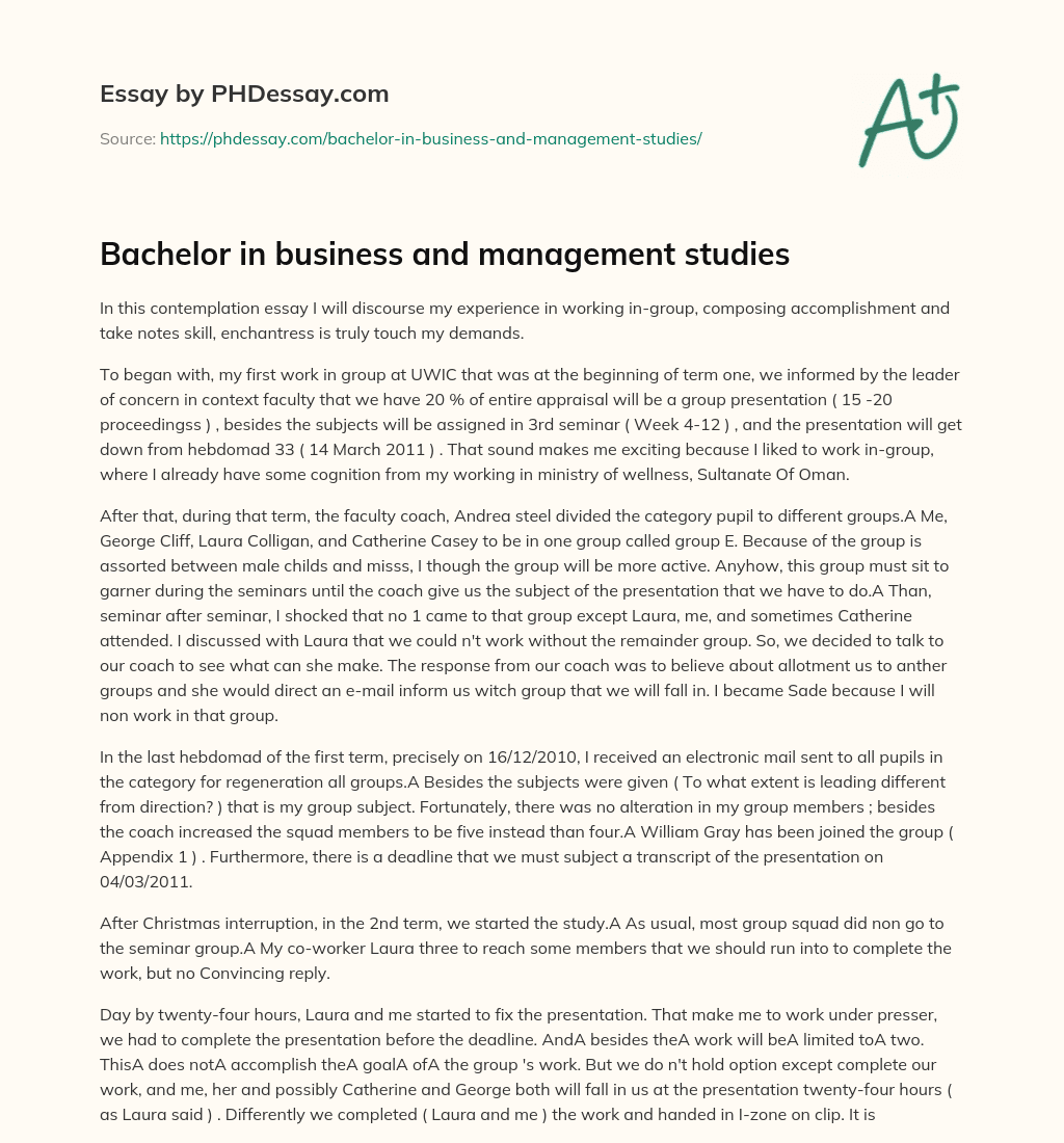 Bachelor in business and management studies essay